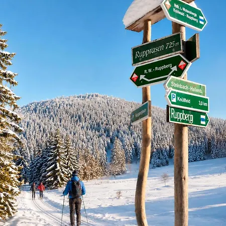 Vakantiehuis Gruppenhaus Kanzlersgrund Bei Oberhof Mit Sauna In Alleinlage *